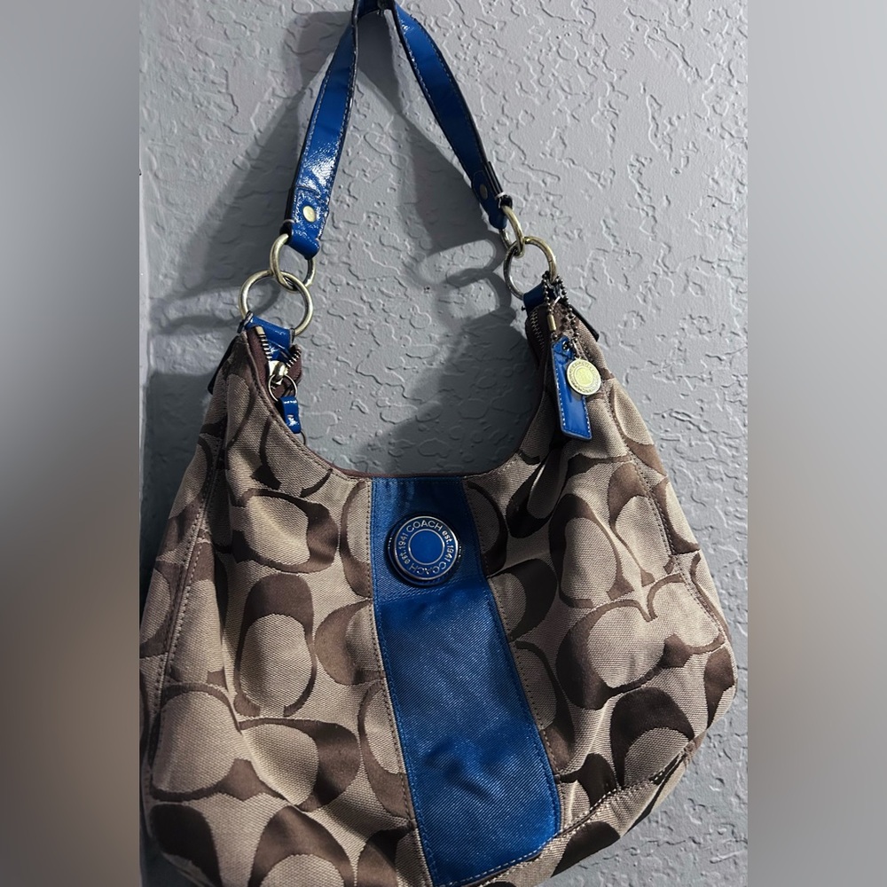 Blue and Brown Designer Women's Bag